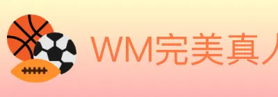 WM完美真人 logo